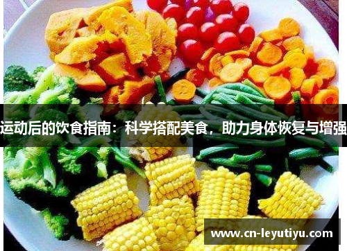 运动后的饮食指南：科学搭配美食，助力身体恢复与增强