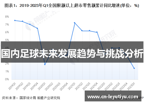 国内足球未来发展趋势与挑战分析